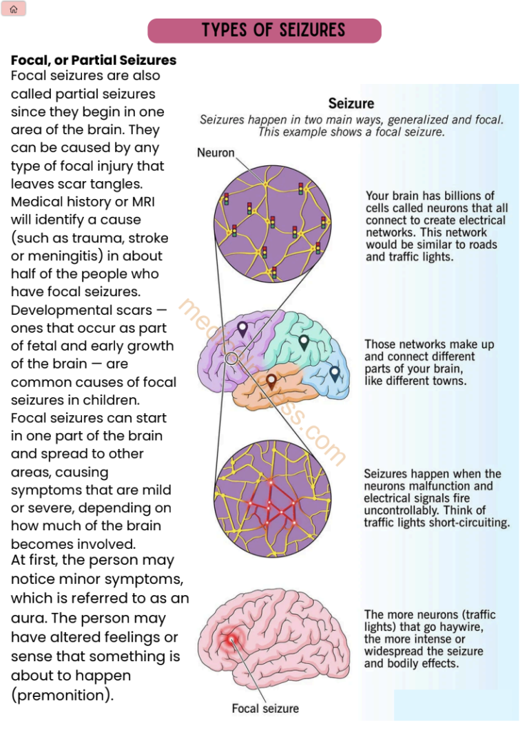 Screenshot 2024-10-13 at 1.55.21 PM